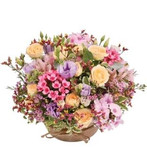 Meet your Posher, seller of 76940